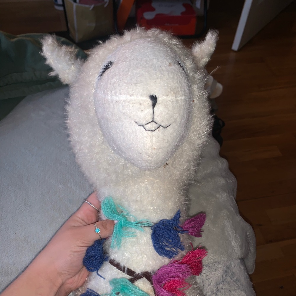 Llama hanging wall